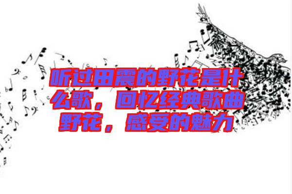 聽過田震的野花是什么歌,回憶經(jīng)典歌曲野花,感受的魅力