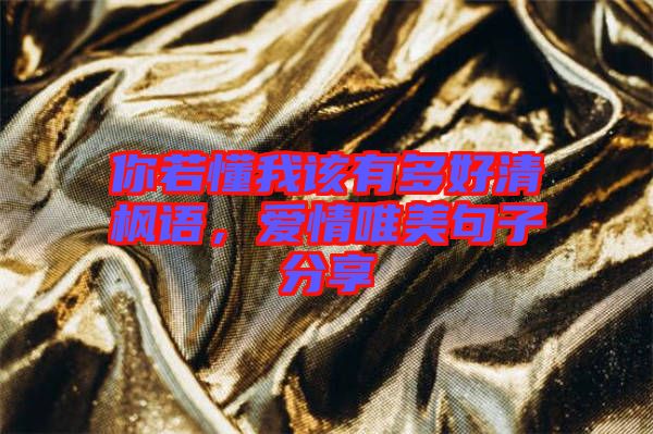 你若懂我該有多好清楓語,愛情唯美句子分享