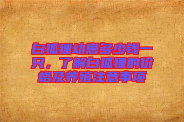 白狐貍幼崽多少錢一只,了解白狐貍的價格及養殖注意事項