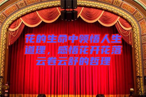 花的生命中領悟人生道理,感悟花開花落云卷云舒的哲理