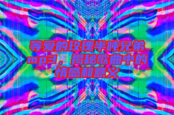 等愛的玫瑰半噸兄弟mp3,揭秘歌曲中的情感和意義