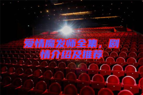 愛情魔發(fā)師全集,劇情介紹及推薦