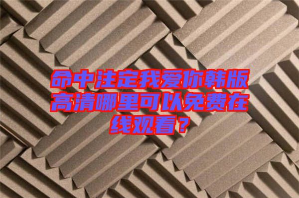 命中注定我愛你韓版高清哪里可以免費(fèi)在線觀看?