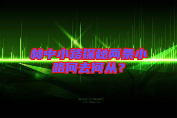 林中小路探秘兩條小路何去何從?