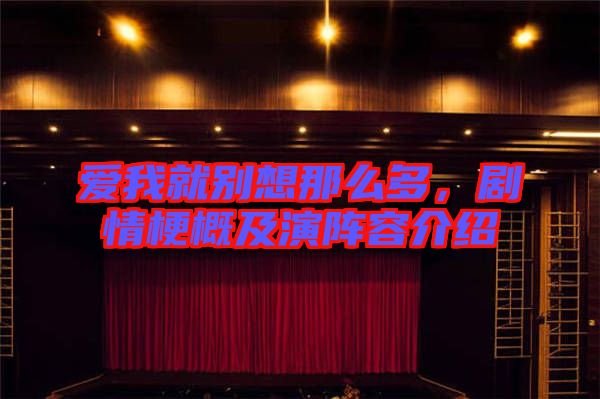 愛我就別想那么多,劇情梗概及演陣容介紹
