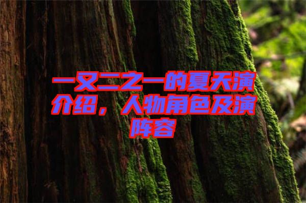 一又二之一的夏天演介紹,人物角色及演陣容