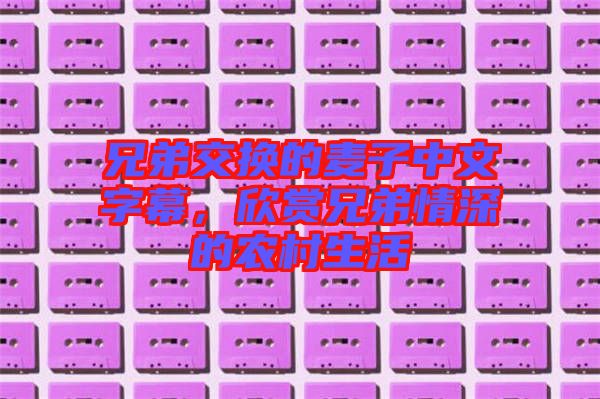 兄弟交換的麥子中文字幕,欣賞兄弟情深的農(nóng)村生活