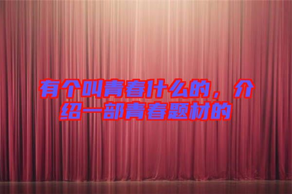 有個叫青春什么的,介紹一部青春題材的