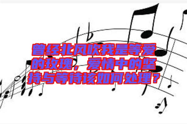 曾經(jīng)北風吹我是等愛的玫瑰,愛情中的堅持與等待該如何處理?