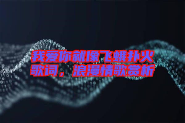 我愛你就像飛蛾撲火歌詞，浪漫情歌賞析