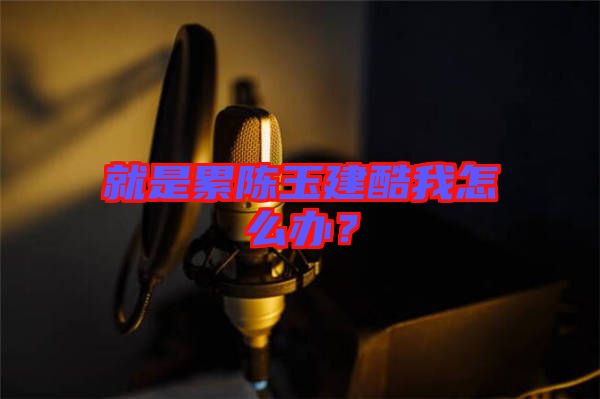 就是累陳玉建酷我怎么辦?