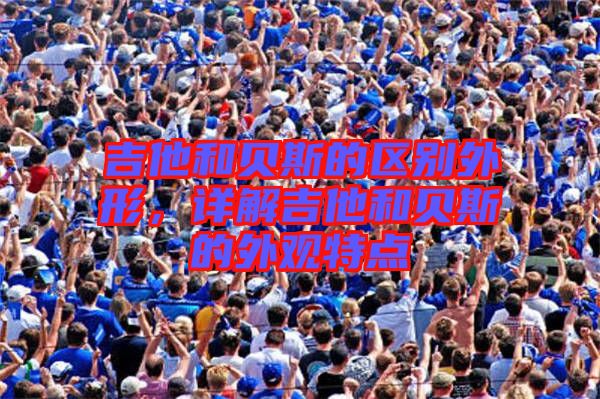 吉他和貝斯的區(qū)別外形,詳解吉他和貝斯的外觀特點(diǎn)