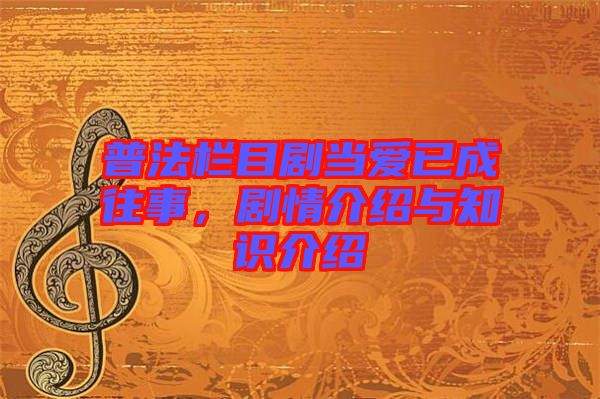 普法欄目劇當愛已成往事,劇情介紹與知識介紹