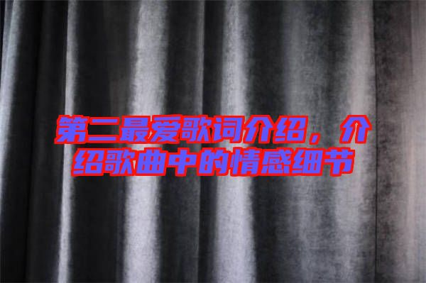 第二最愛歌詞介紹,介紹歌曲中的情感細節
