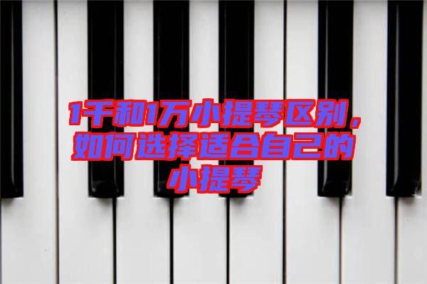 1千和1萬小提琴區別,如何選擇適合自己的小提琴