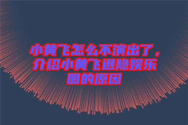 小黃飛怎么不演出了,介紹小黃飛退隱娛樂圈的原因
