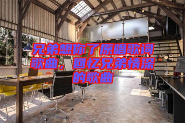 兄弟想你了原唱歌詞歌曲,回憶兄弟情深的歌曲