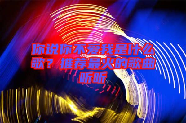 你說你不愛我是什么歌?推薦最火的歌曲聽聽