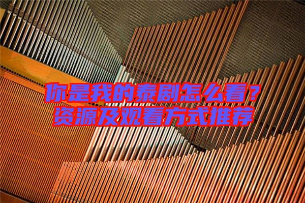 你是我的泰劇怎么看?資源及觀看方式推薦