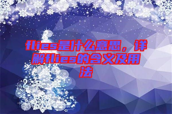 flies是什么意思,詳解flies的含義及用法