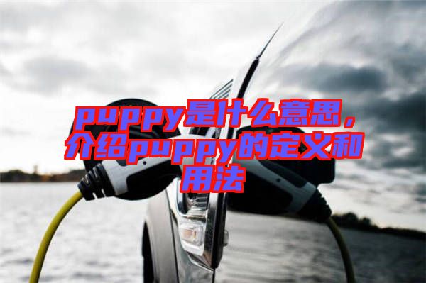 puppy是什么意思，介紹puppy的定義和用法