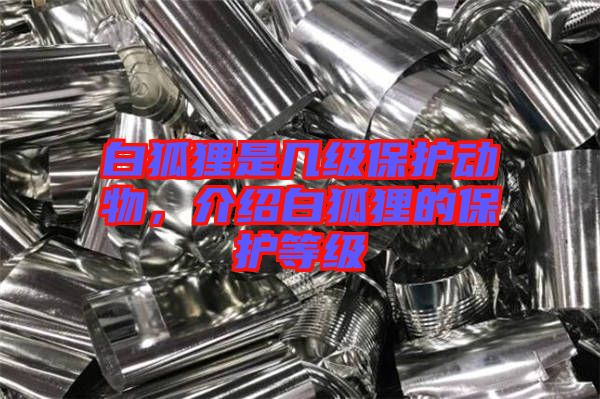 白狐貍是幾級保護動物,介紹白狐貍的保護等級