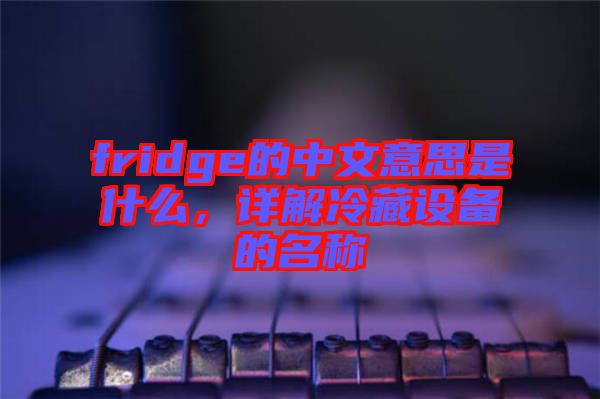 fridge的中文意思是什么,詳解冷藏設備的名稱