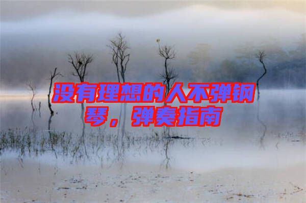 沒有理想的人不彈鋼琴,彈奏指南