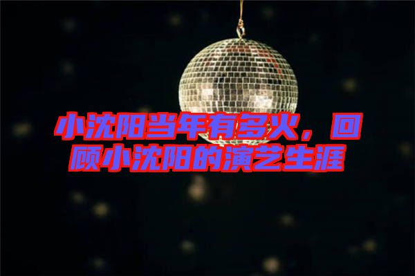 小沈陽當(dāng)年有多火,回顧小沈陽的演藝生涯