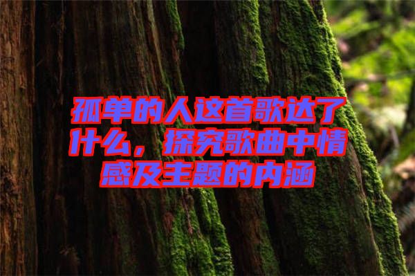 孤單的人這首歌達(dá)了什么,探究歌曲中情感及主題的內(nèi)涵