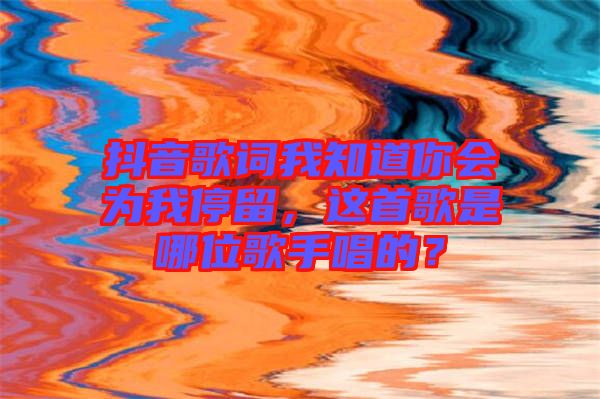 抖音歌詞我知道你會為我停留,這首歌是哪位歌手唱的?