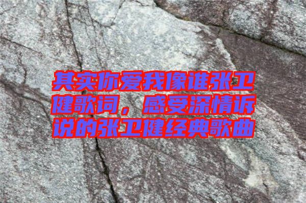 其實(shí)你愛我像誰張衛(wèi)健歌詞,感受深情訴說的張衛(wèi)健經(jīng)典歌曲