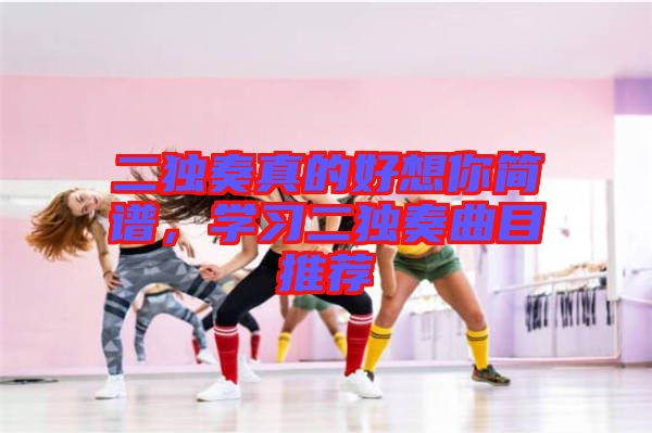 二獨奏真的好想你簡譜,學(xué)習(xí)二獨奏曲目推薦