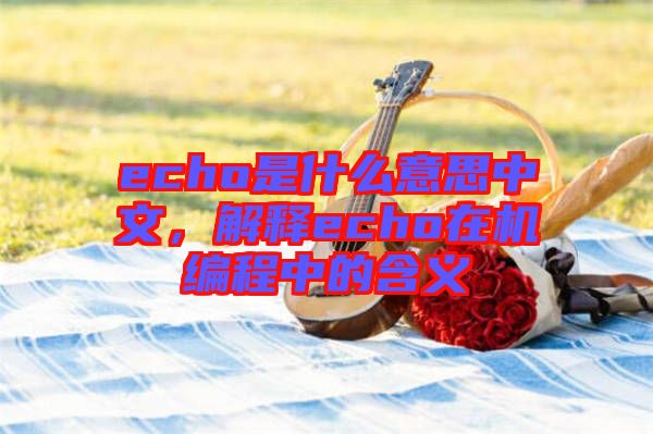 echo是什么意思中文,解釋echo在機編程中的含義