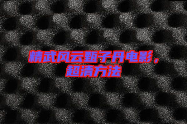 精武風云甄子丹電影,超清方法