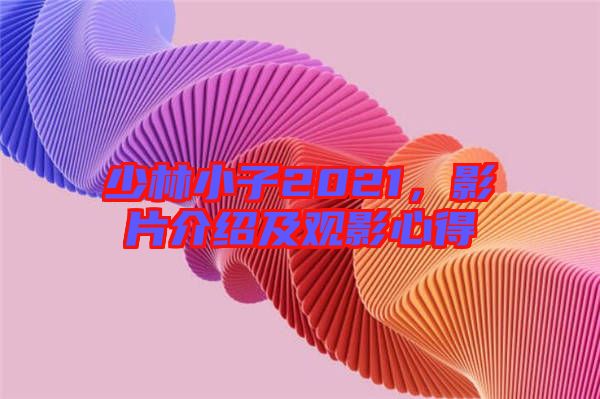 少林小子2021,影片介紹及觀影心得