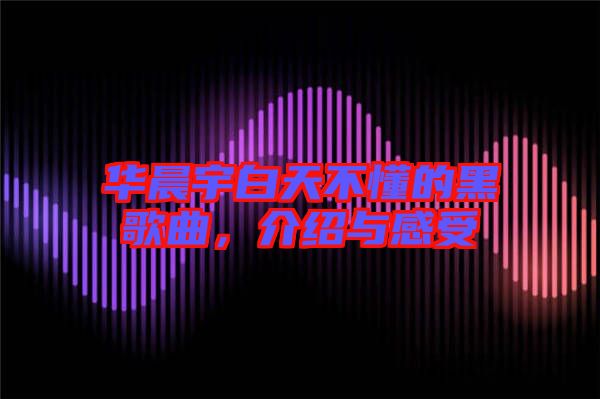華晨宇白天不懂的黑歌曲,介紹與感受