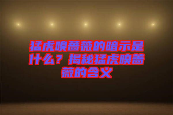 猛虎嗅薔薇的暗示是什么?揭秘猛虎嗅薔薇的含義