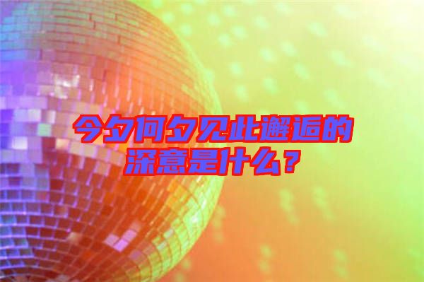 今夕何夕見此邂逅的深意是什么?