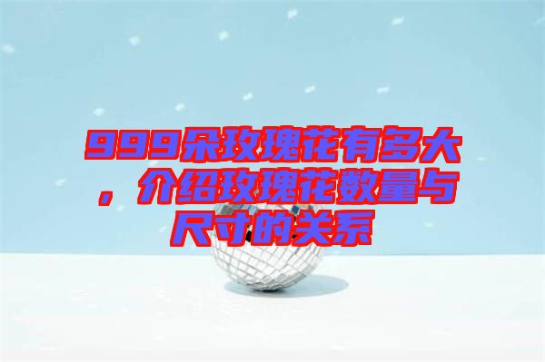 999朵玫瑰花有多大,介紹玫瑰花數(shù)量與尺寸的關(guān)系