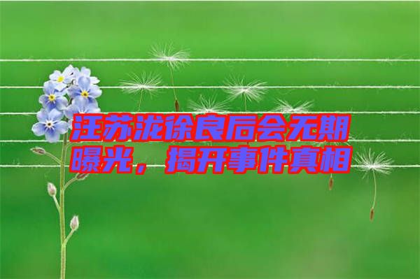 汪蘇瀧徐良后會(huì)無期曝光,揭開事件真相