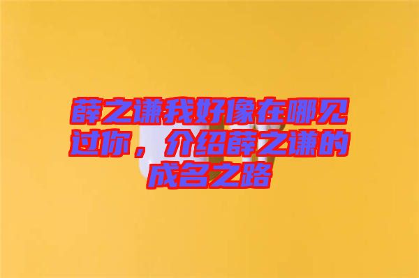 薛之謙我好像在哪見過你,介紹薛之謙的成名之路