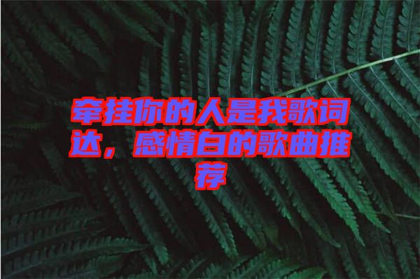 牽掛你的人是我歌詞達,感情白的歌曲推薦