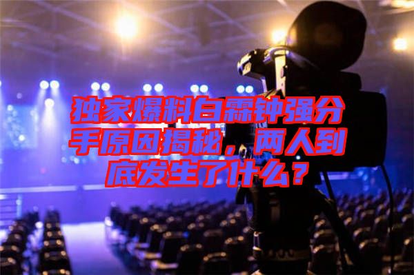 獨家爆料白霖鐘強分手原因揭秘,兩人到底發(fā)生了什么?