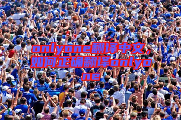 onlyone翻譯中文,如何正確翻譯onlyone