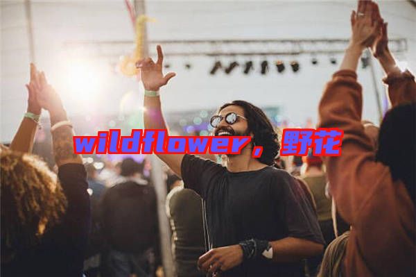 wildflower,野花