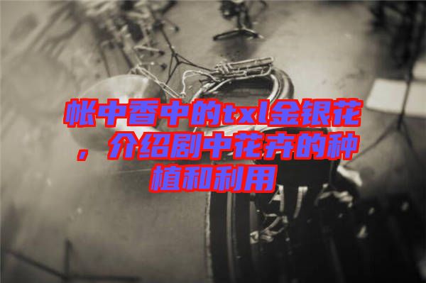 帳中香中的txl金銀花,介紹劇中花卉的種植和利用