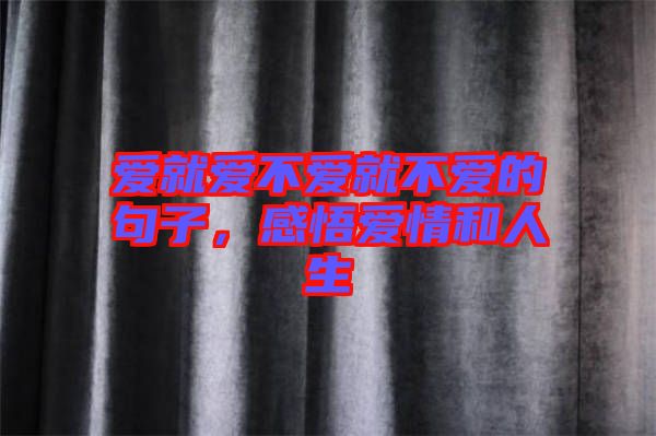 愛就愛不愛就不愛的句子,感悟愛情和人生