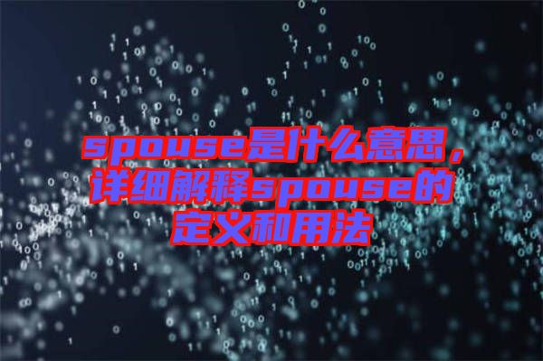 spouse是什么意思,詳細(xì)解釋spouse的定義和用法