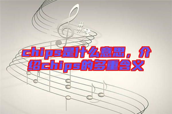 chips是什么意思,介紹chips的多重含義